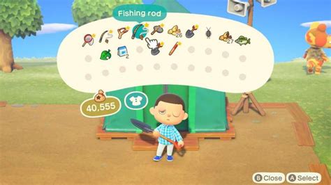 animal crossing inventory space upgrades.